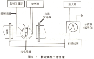 Bruker 600 MHz核磁共振波譜儀（一）-www.karinroest.com偉業(yè)計量